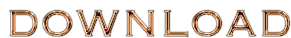 5219493.webp