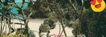 fg99fNt.gif