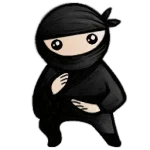 systemninja.webp systemninja.webp