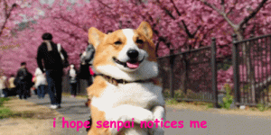 160.gif 160.gif