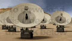 FeistyGeneralHanumanmonkey-max-1mb.gif FeistyGeneralHanumanmonkey-max-1mb.gif