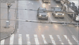 giphy.gif giphy.gif