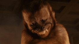 giphy.gif giphy.gif