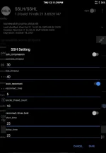 Screenshot-SSLH-SSHL-20201022-121141.webp