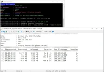 nzNFEli.webp