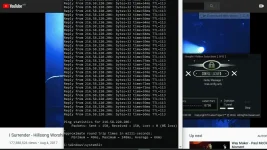 ff-1.webp