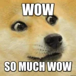 21-Much-Wow-Dog-Meme.webp