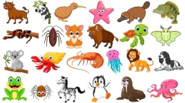 image.webp image.webp