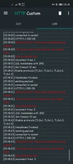 Screenshot_20210820_151823_xyz.easypro.httpcustom.webp