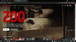 1629525920573.webp