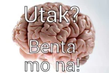 a326039523b2ddd11902b297718961640bfdb3421ac5e19f971efcd89077f60b.webp