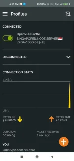 Screenshot_2021-08-24-18-13-26-278_net.openvpn.openvpn.jpg