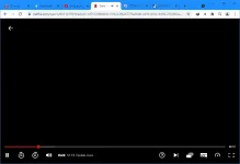 1629912484186.webp