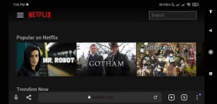 Screenshot_2021-08-25-19-06-53-787_com.yandex.browser.webp