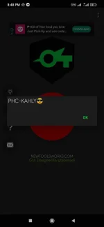 Screenshot_2021-08-25-20-48-14-920_com.newtoolsworks.sockstunnel.webp