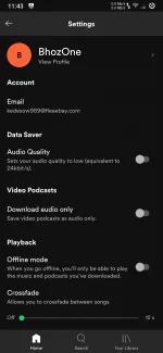 Screenshot_20210825-234334_Spotify.webp