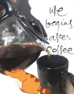 Coff.webp