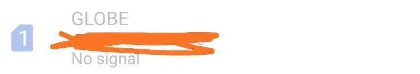 IMG_20210827_094858.webp