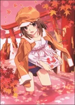 cover.webp
