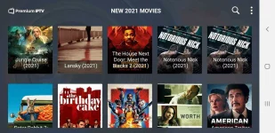 Screenshot_20210827-232241_Premium IPTV Player.webp