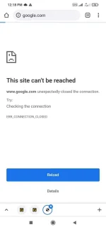 Screenshot_2021-08-28-12-18-27-755_com.android.chrome.webp