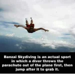 -5854957855688473069_120.webp