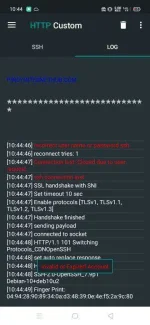 240047293_556257398944156_2644511798102086488_n.webp