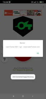 Screenshot_2021-08-30-07-54-14-518_com.newtoolsworks.sockstunnel.webp