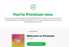 spotify ρrémíùm.webp