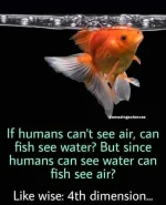 FB_IMG_16306486077468365.webp