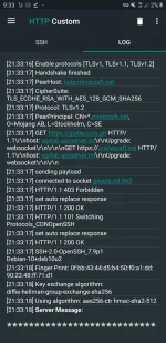 Screenshot_20210903-213327_HTTP Custom.webp