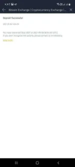 4.webp