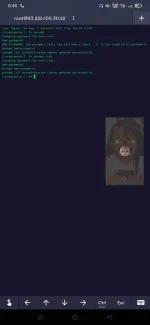 Screenshot_2021-09-07-20-48-14-88_be80aec1db9a2b53c9d399db0c602181.webp