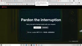 1631110949648.webp