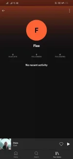 Screenshot_20210909_045535_com.spotify.music.webp