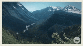 200.gif 200.gif