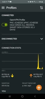 Screenshot_20210909-171807_OpenVPN Connect.webp