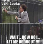 vim.webp vim.webp