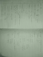 1631348733473.webp