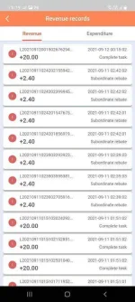 showing my earning.webp