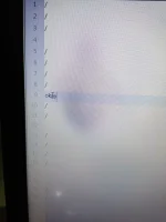 16314909114617987365164621224663.webp