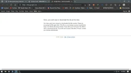 1631520651969.webp