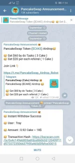 Screenshot_20210913_193434_org.telegram.messenger.jpg