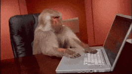 200.gif 200.gif