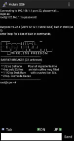 4825447_Screenshot_20210613-204220_Mobile_SSH.webp