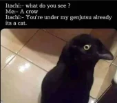 FB_IMG_1631622553507.webp