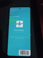 241549504_1212880865877597_8605316674505299728_n.webp
