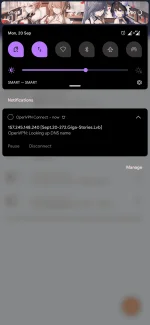 Screenshot_20210920-090229_OpenVPN_Connect.webp
