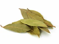 bay-leaves-dry-2500-56a210353df78cf772718c1f.webp