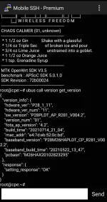 Screenshot_20210923-082135_Mobile SSH - Premium.jpg